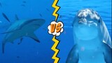 ฉลาม vs โลมา !!!