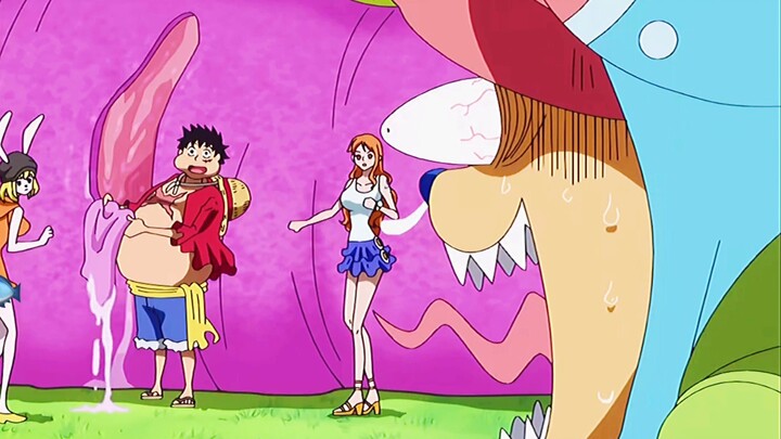 The Straw Hats’ inappropriate moments (6)