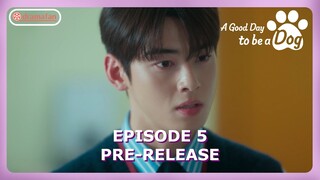 A Good Day To Be A Dog Episode 5 Pre-Release [ENG SUB]