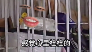 《妈妈酱，瓦达西好像塌房了》