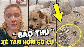 ĐỂ "67 TRIỆU" tiền lương của chồng cùng BOSS ở phòng khách và CÁI KẾT | TIN GIẢI TRÍ