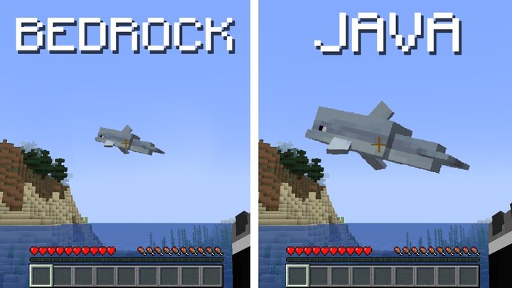 Java vs Bedrock