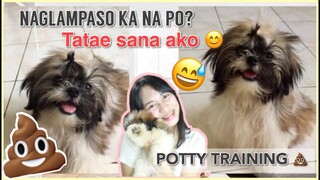 HOW TO POTTY TRAIN YOUR SHIH TZU PUPPY | EASY WAY TO DO IT! | PAANO MAGPOTTY TRAIN NG ASO