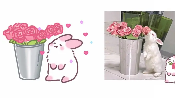 ��Bunny and Rose��What a romantic picture~