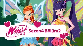 Winx Club - Sezon 4 Bölüm 2 - Hayat Ağacı