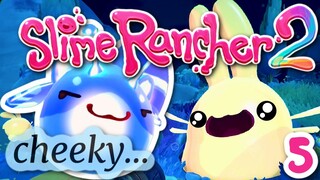 SLIME RANCHER 2 ~ SO CHEEKY!!! : 4