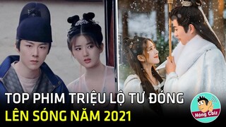 Top 4 phim hay nhất Triệu Lộ Tư đóng lên sóng năm 2021|Hóng Cbiz