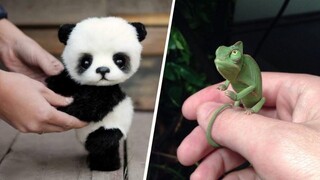 Adorable Baby Animals that Will Make Your Day 🥰