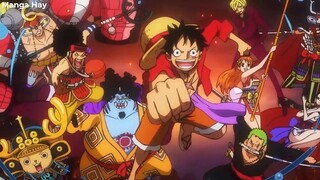 Tất Tần Tật Về Người Sử Dụng Trái Ác Quỷ Nika- Thái Dương Thần Luffy-P3