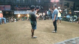 parang palaka si boss