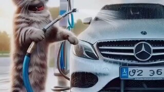 Adorable Cat Working Hard: Watch This Feline Get the Job Do #CatWorking #FunnyCat #CatVideo