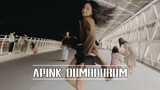 Dance cover-Dumhdurum