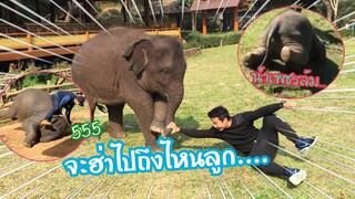 รวมคลิปฮ่าๆน่ารักน้ำเพชรกับแม่ทองศรี