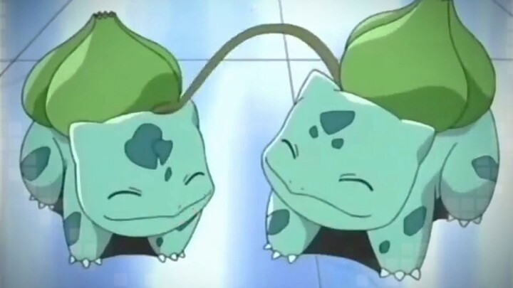 [Pokémon] Even Bulbasaur has a partner!!