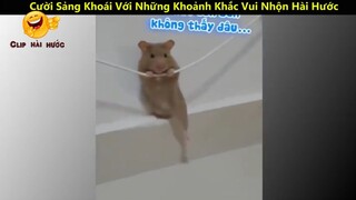 Cười Sảng Khoái Với Những Khoảnh Khắc Vui Nhộn Hài Hước Và Lầy Lội Nhất p17