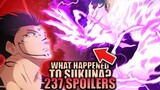 WHAT HAPPENED TO SUKUNA?! / Jujutsu Kaisen Chapter 237 Spoilers