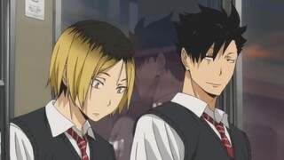 【Pemain Bola Voli|Kuroken】Tokyo Young Tamers