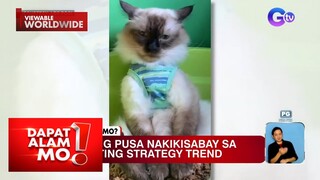 Pusa, nakisabay sa marketing strategy trend | Dapat Alam Mo!