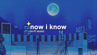 Kaleb J - Now I Know (Alphasvara Lo-Fi Remix)