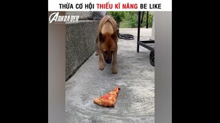 Thừa Cơ Hội Nhưng Thiếu Kĩ Năng