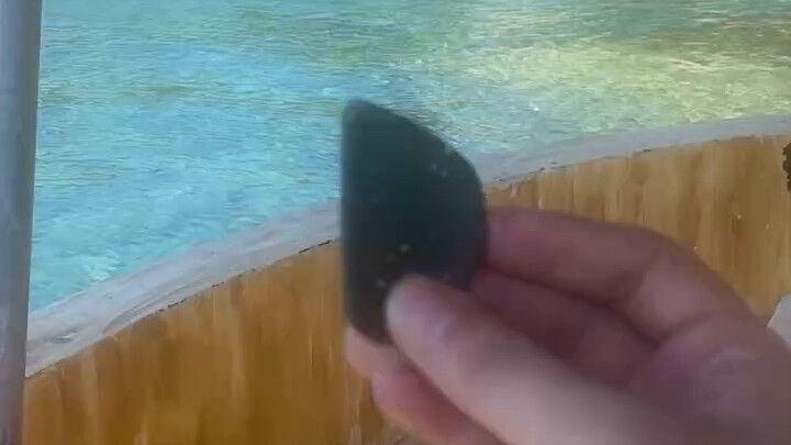 “别嫌弃我幼稚，我对喜欢的人从来不用脑子，只用心”