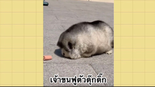 เพื่อนตัวน้อย สัตว์เลี้ยงแสนซน : เจ้าขนฟูตัวดุ๊กดิ๊ก