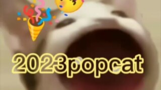 popcat 2023