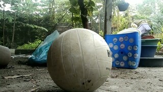 Grade 11 PE Project | Haikyuu OP 4 Parody