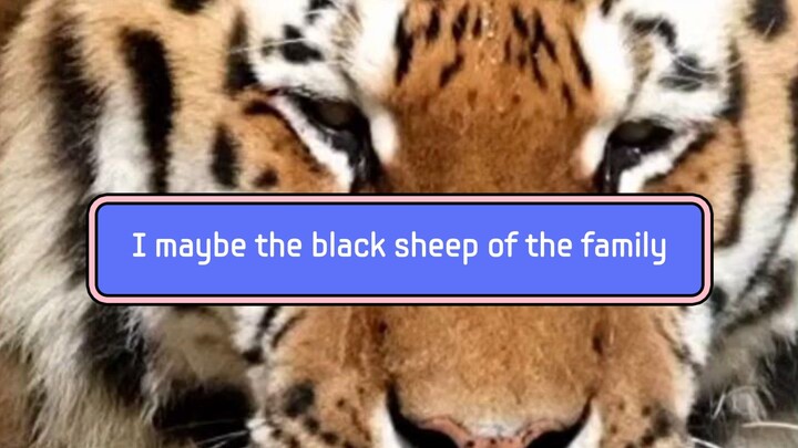 I Maybe the black sheep of the family