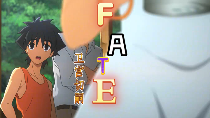 fate：卫宫的经历