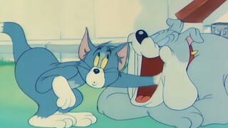 Tom và Jerry: Nếu không thì bạn nghĩ sao chúng tôi lại quay phim hồi đó🤪