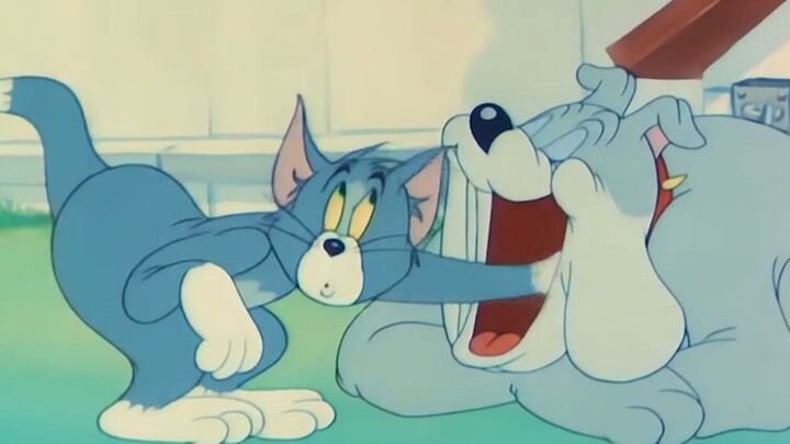 Tom và Jerry: Nếu không thì bạn nghĩ sao chúng tôi lại quay phim hồi đó🤪