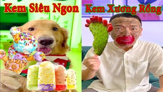 Thú Cưng TV | Tứ Mao Đại Náo #33 | Chó Golden Gâu Đần thông minh vui nhộn | Pets cute smart dog