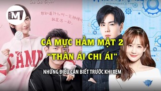 Cá mực hầm mật 2 - Những điều cần biết trước khi xem "Thân Ái Chi Ái"