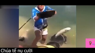 Còn gì đâu con cá cho bữa ăn thơm ngon #funny