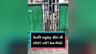 Cứ đòi đi chơi ké...  cunyeucuadua chó chócon chókhôn chócute chó_cưng chócon chókhôn chómèo xuhuong fyp