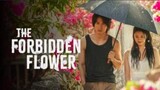 THE FORBIDDEN FLOWER - EPISODE 12 ( TAGALOG DUB)