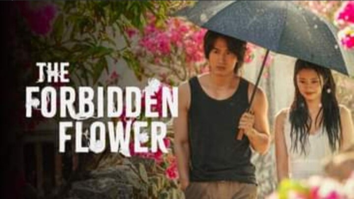 The Forbidden Flower Jerry Yan