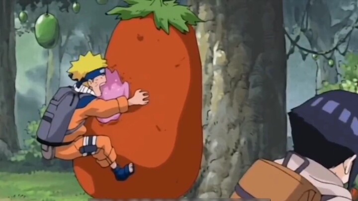 Jenis buah yang luar biasa besar itu dimakan oleh orang bodoh! Naruto:? ? ? ? ?