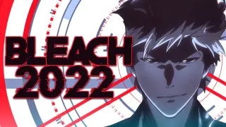 BLEACH Thousand Year Blood War Anime Trailer Breakdown!