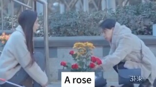 A rose