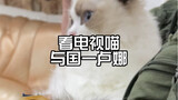 Anak kucing juga suka nonton Crayon Shin-chan? Versus Negara Satu Luna