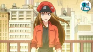 รีวิวเเละเเนะนำเรื่อง Hataraku Saibou  เซลล์ขยันพันธุ์เดือด