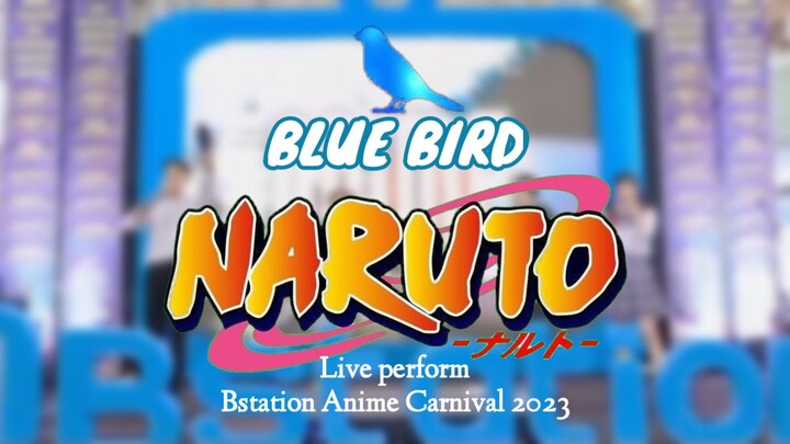 【4人】Blue Bird - Live Perform | Bstation Anime Carnival 2023