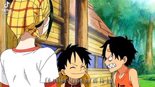 Nôi bông cua luffy