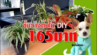 ชั้นวางต้นไม้ DIY งบ 165บาท DIY PLANT STAND  l JOY DIY