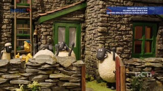 MNCTV HD • SHAUN THE SHEEP • PART 3 • MINGGU 5 JANUARI 2025