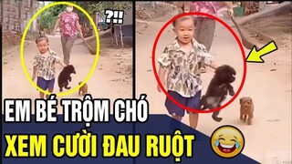 Tổng Hợp Những Tình Huống "HÀI HƯỚC KHÓ ĐỠ " Đảm Bảo Không Cười Không Lấy Tiền