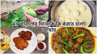 Bangladeshi Vlogs ll আমি কি আর ভ্লগ দিতে পারবো // কি কারনে অসুস্থ হয়ে গেলাম // Ms Bangladeshi Vlog l