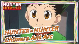 [HUNTER×HUNTER] Chimera Ant Arc| The Battle Of The Phantom Troupe